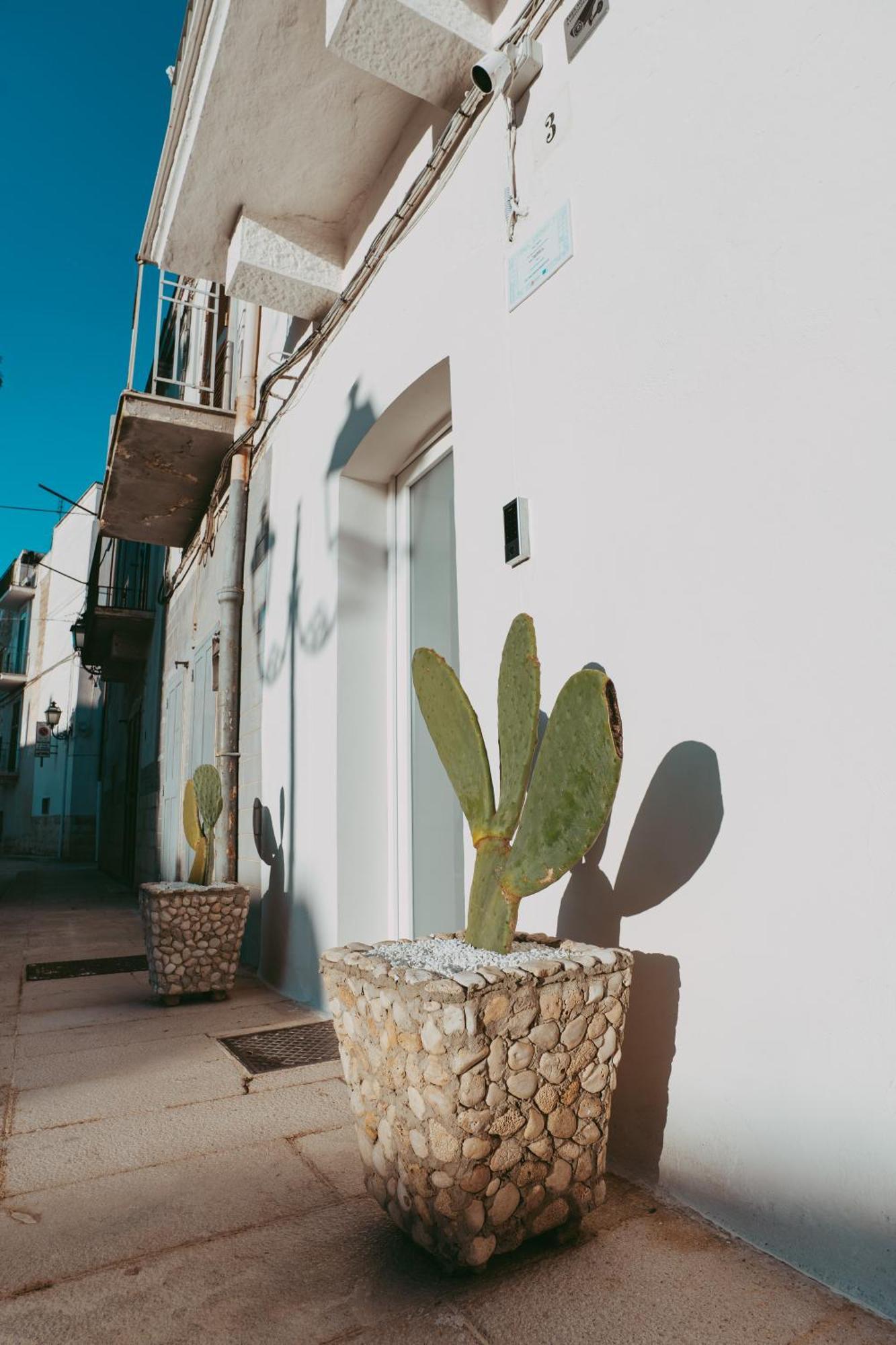 Casa Pagano *